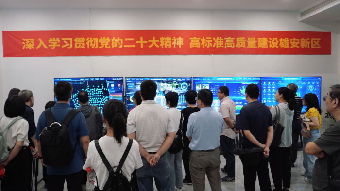 图片3